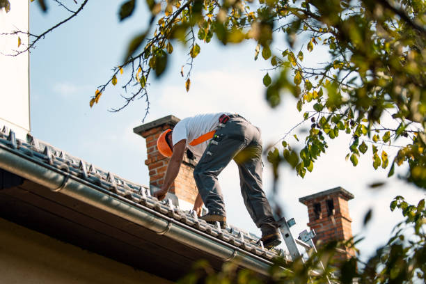 Best Metal Roofing Contractor  in Hlsboro, IL