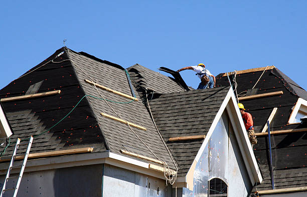 Best Storm Damage Roof Repair  in Hlsboro, IL